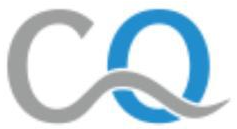 CARE OCEAN LOGISTICS LLC  Logo